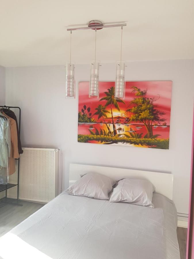 Chambres A Louer Dans Appartement Balcon - Wifi - Parking Gratuit Nevers Exteriér fotografie