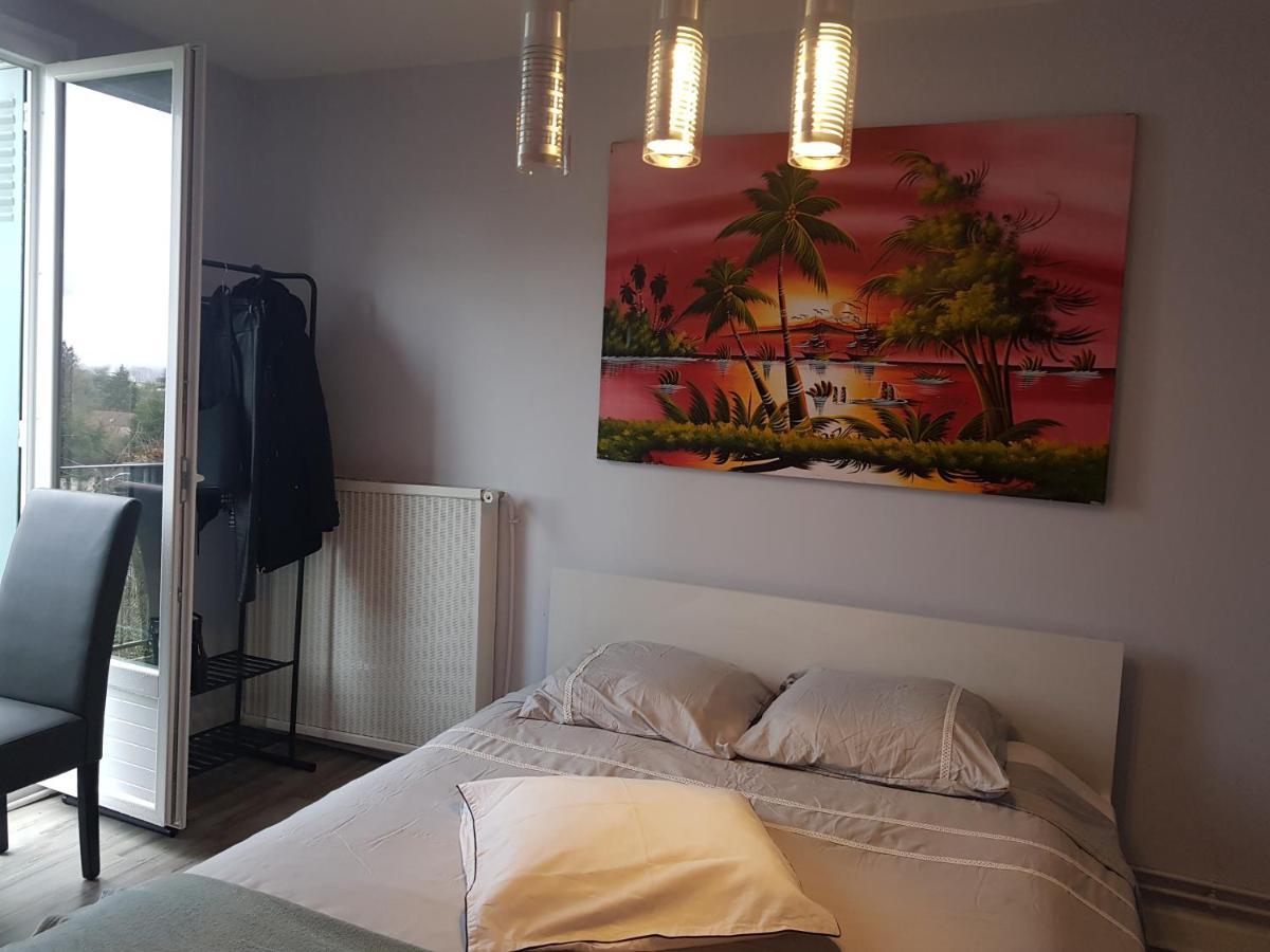 Chambres A Louer Dans Appartement Balcon - Wifi - Parking Gratuit Nevers Exteriér fotografie