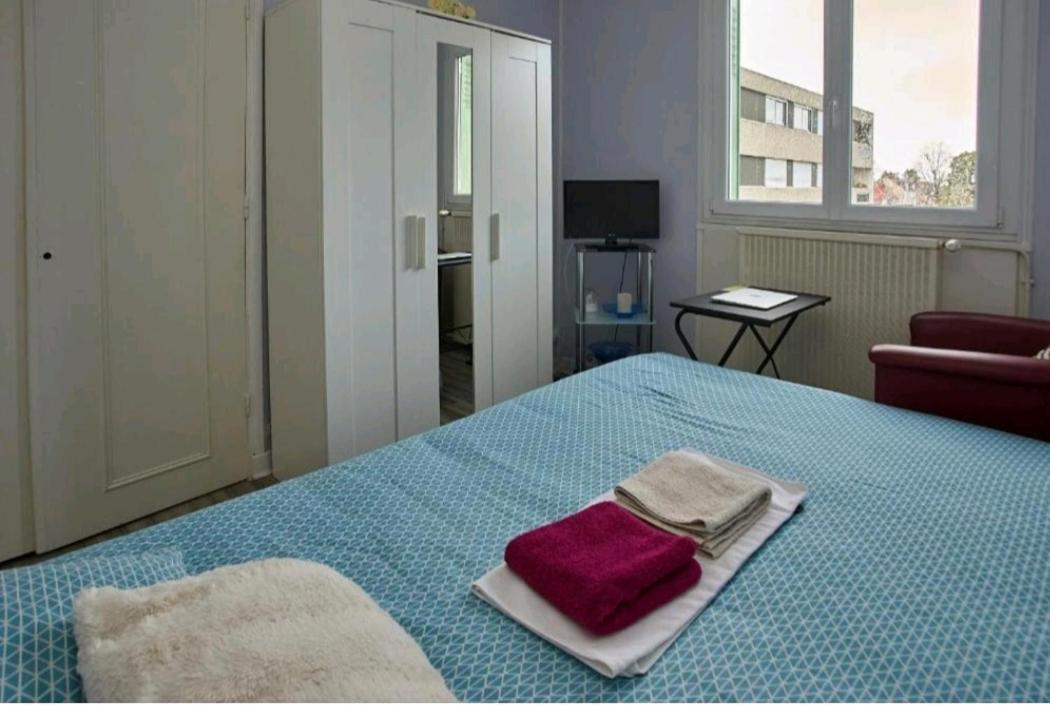 Chambres A Louer Dans Appartement Balcon - Wifi - Parking Gratuit Nevers Exteriér fotografie