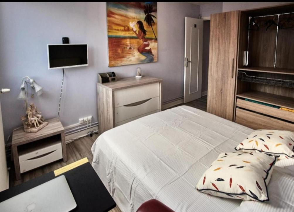 Chambres A Louer Dans Appartement Balcon - Wifi - Parking Gratuit Nevers Exteriér fotografie